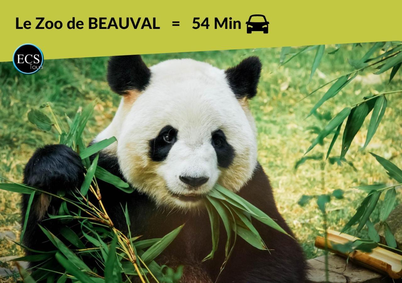 "Le Safari" - 2 Lits - Au Coeur Du Vieux Tours 아파트 외부 사진